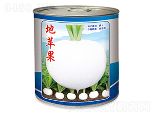 ���O��-�����}���N��-������