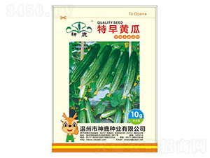 �����S��-�S�ϷN��-��¹�N�I