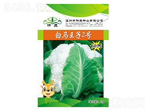 ���R����2̖��60�죩-��Ҭ�˷N��-��¹�N�I(y��)