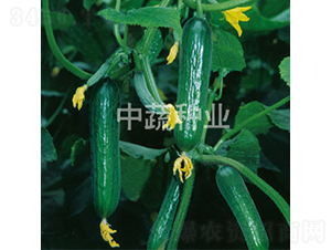 ���r19̖-�S�ϷN��-���߷N�I