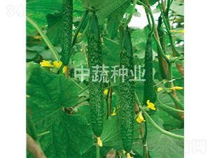 ���r26̖-�S�ϷN��-���߷N�I