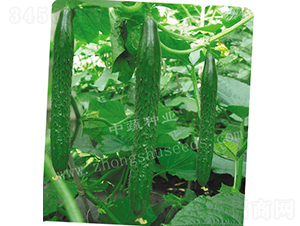 ���r16̖-�S�ϷN��-���߷N�I