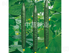 ���x���r27̖-�S�ϷN��-���߷N�I