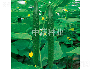 ���r106̖-�S�ϷN��-���߷N�I