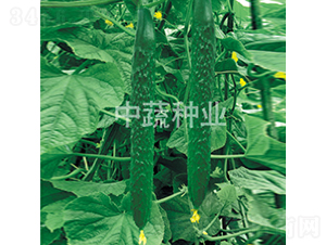 ���r128̖-�S�ϷN��-���߷N�I