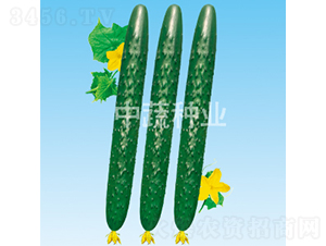 ���r50-�S�ϷN��-���߷N�I