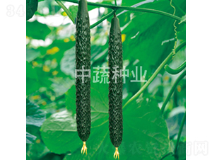 ���r18̖-�S�ϷN��-���߷N�I