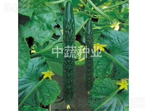 ���r118̖-�S�ϷN��-���߷N�I