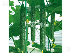 ���r28̖-�S�ϷN��-���߷N�I