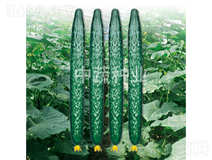 ���r48-�S�ϷN��-���߷N�I