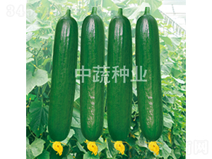 ���r59-�S�ϷN��-���߷N�I