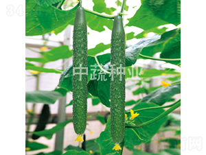 ���r38̖-�S�ϷN��-���߷N�I