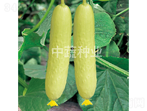 ���r����2̖-�S�ϷN��-���߷N�I