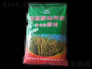 ��ֳ����}�V-�A������