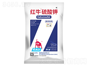 �tţ����⛣��˜ʠ-����}�r�I