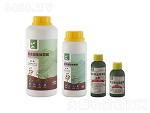 �������ͺ�΢������ʣ�-�A������