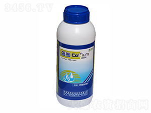 �ЙC�}��-�{�w-ïʩ�r�I 