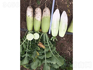 �����}���N��-�A���r�I