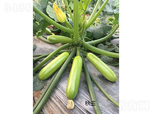 ���������J�N��-�A���r�I