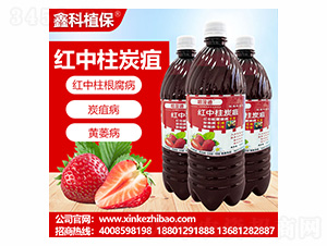 �t����̿���`-�ο�ֲ��