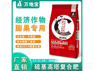 ��������������ÏͺϷ���17-5-29-�f�،�-�����ʢ