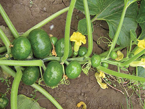 ����-�����J�N��-�A���N��