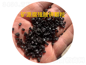 �VԴ��ֳ����w��-��������