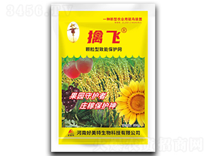 �w�������ܱ��o�W-���w-������