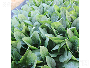 �r��-���˷N��-�V��