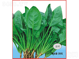 �³�������-���˷N��-�V��