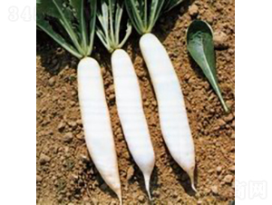 22̖���~13�}��-�}���N��-�V��