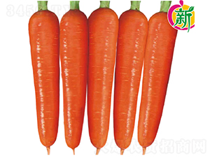 ��ϼ1̖���}��-���}���N��-�V��