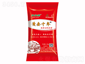 �~���״ٻ����������-�S��ʮ��-����������