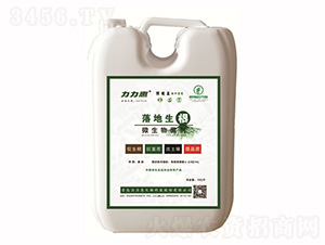 ΢�������-�������-����������