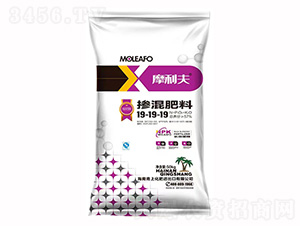 �������19-19-19-Ħ����-���ϻ���