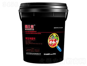 50�|΢�������-����Ц-�Aï�r�I