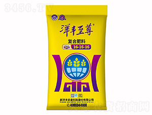 �ͺϷ���16-16-16-�����S�ʘI