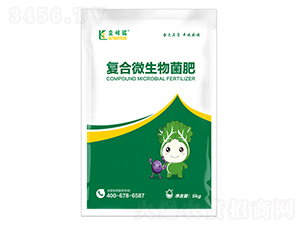 �ͺ�΢�������-����Z