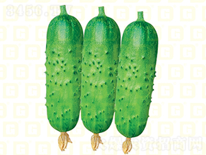 �¸���ͯ�S��-�S�ϷN��-�¸߷N�I