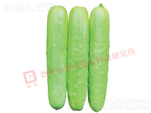 �¸ߚW���S��-�S�ϷN��-�¸߷N�I