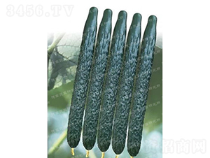 �¸�C57�S��-�S�ϷN��-�¸߷N�I