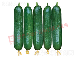 �¸ߚW�����S��-�S�ϷN��-�¸߷N�I