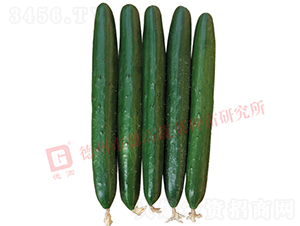 �¸��A��6̖�S��-�S�ϷN��-�¸߷N�I