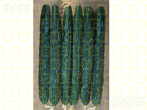 �¸�C5�S��-�S�ϷN��-�¸߷N�I