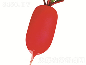 �tƤ�}��-�tС��-�}���N��-�¸߷N�I