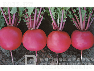 �tƤ�}��-�t��1̖-�}���N��-�¸߷N�I