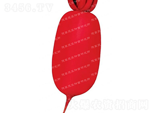 �tƤ�}��-�׼t-�}���N��-�¸߷N�I