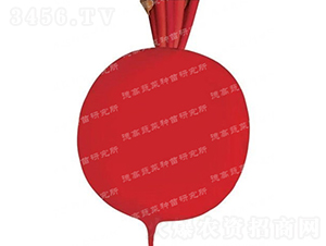 �tƤ�}��-�t���-�}���N��-�¸߷N�I