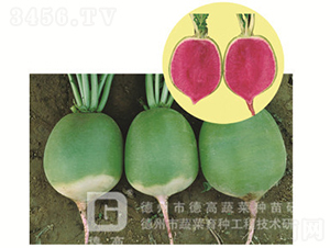 �������}��-�t��ٝ-�}���N��-�¸߷N�I