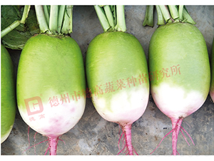 �������}��-�¸ߺ��t-�}���N��-�¸߷N�I